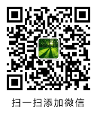 advertising